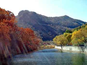 新澳天天开奖资料大全旅游团，河南胎毛笔